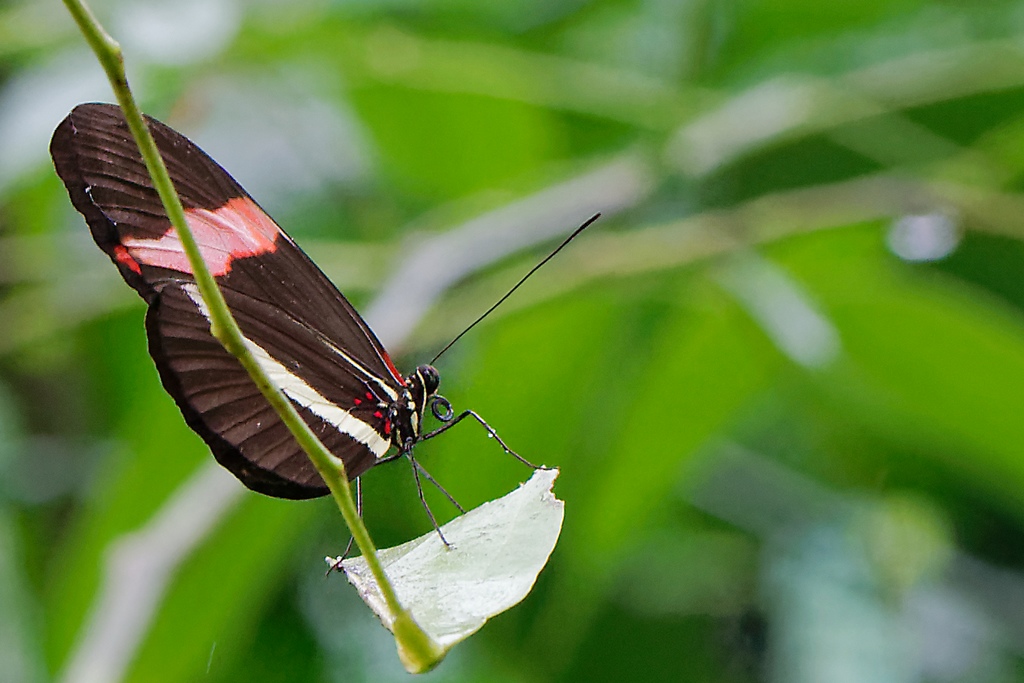 DSC_1730_DxO.JPG