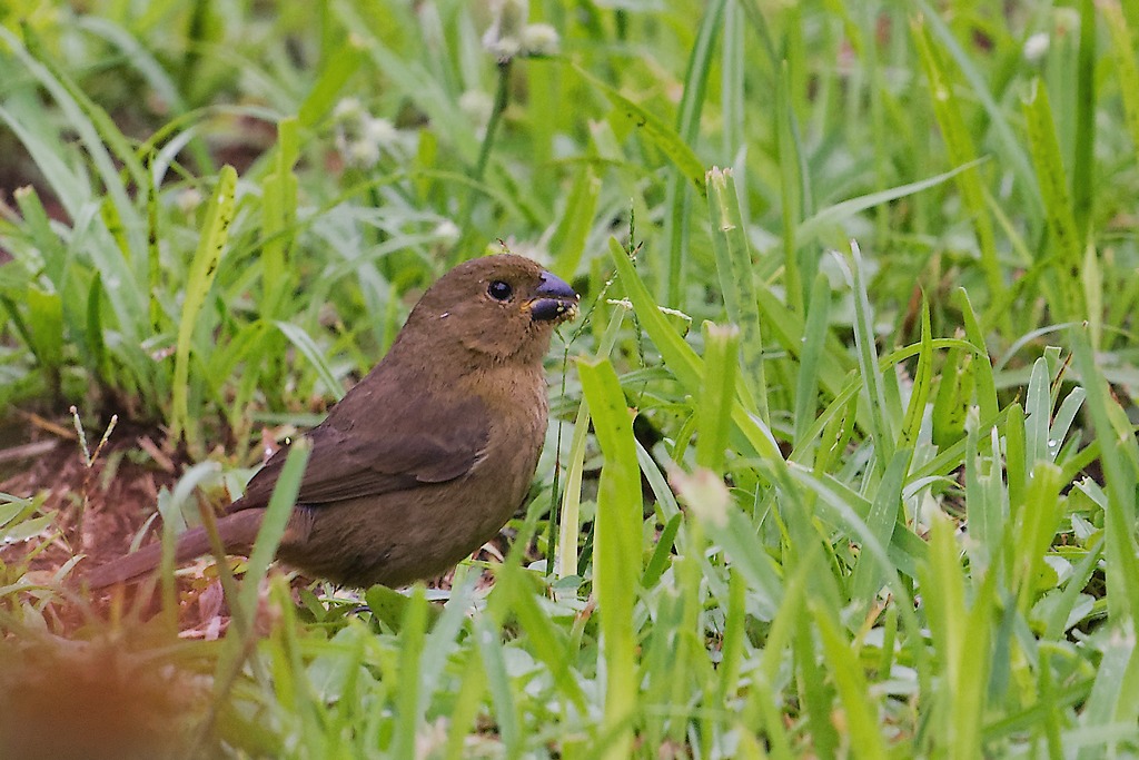 DSC_4784_DxO.JPG