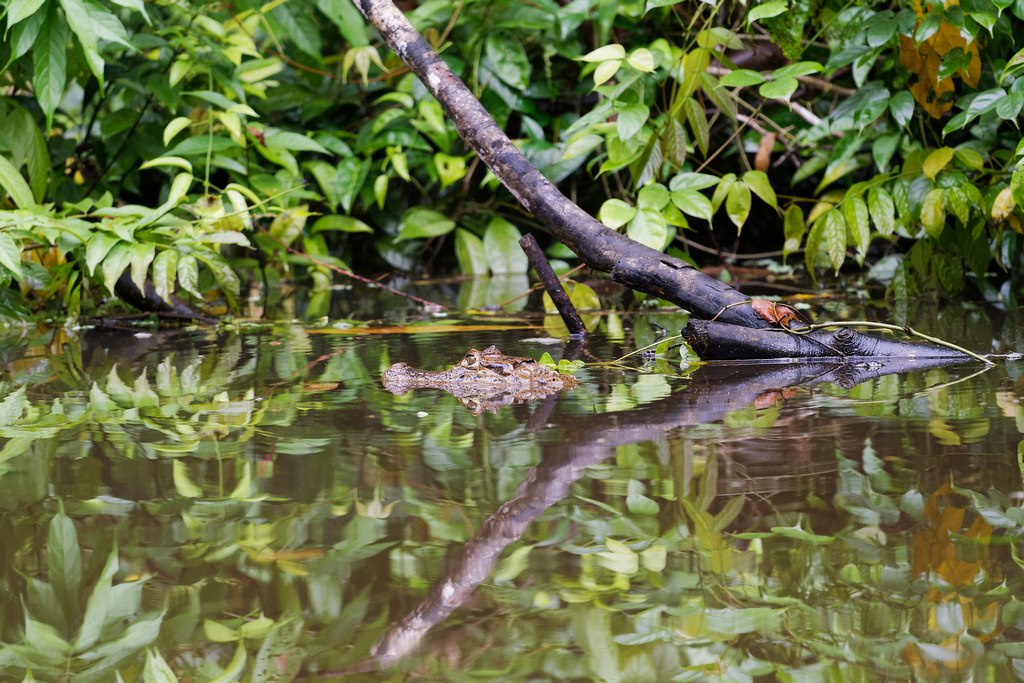 DSC_5013_DxO.JPG