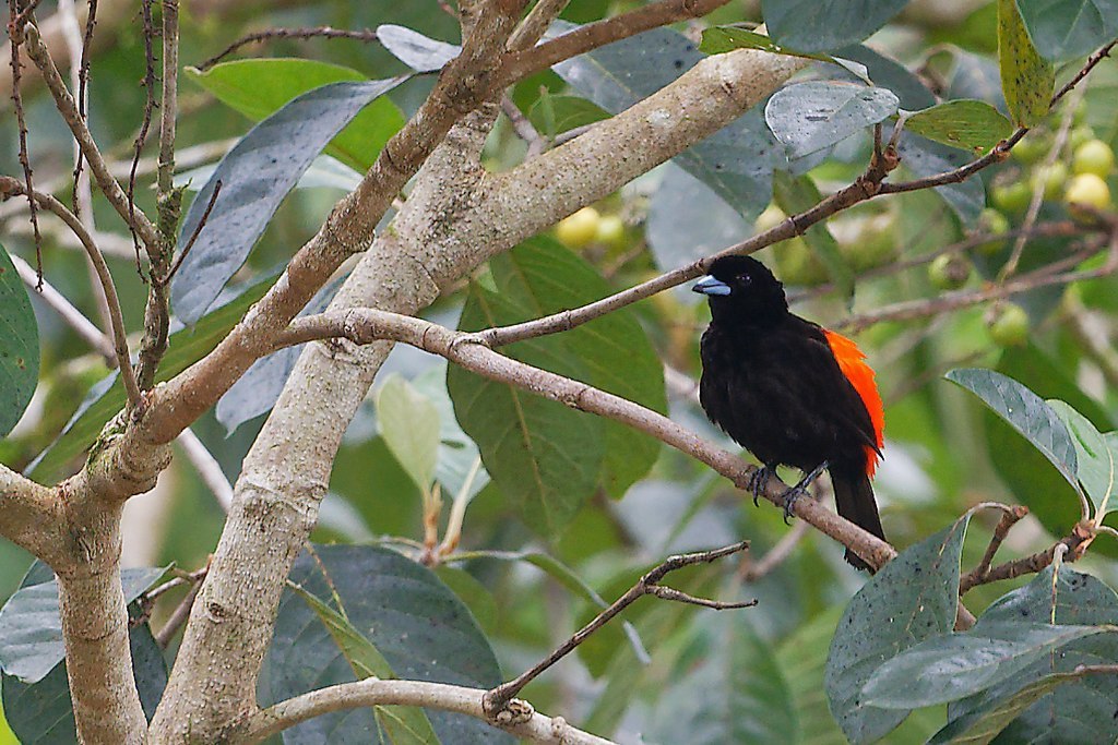 DSC_5321_DxO.JPG