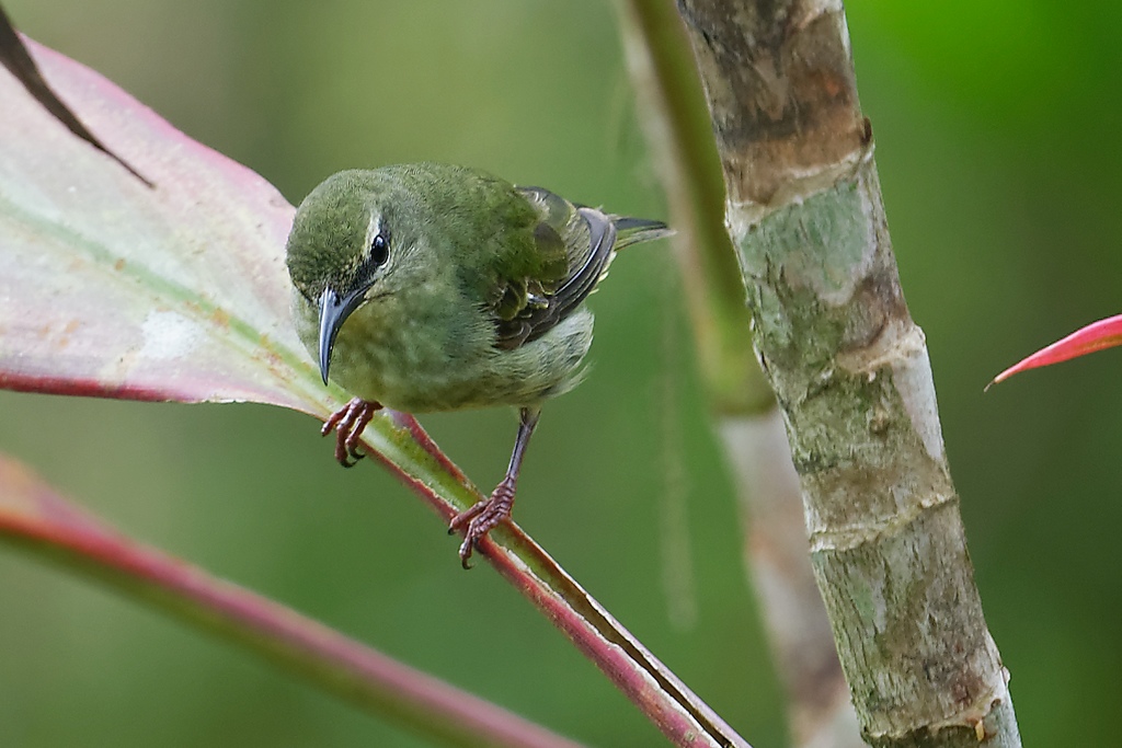 DSC_5342_DxO.JPG