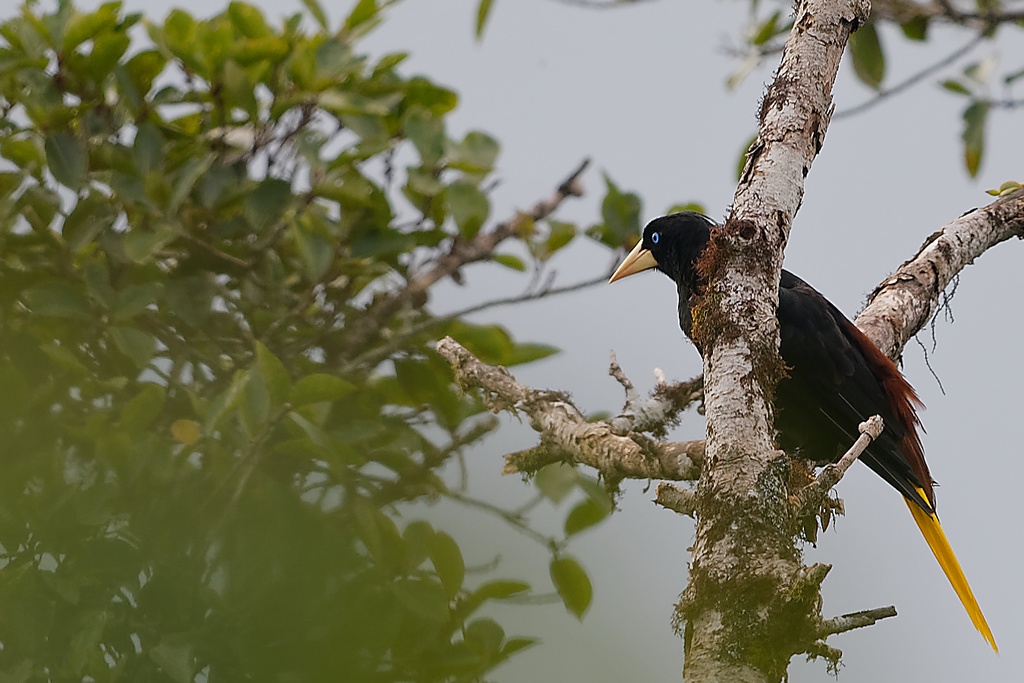DSC_6879_DxO.JPG