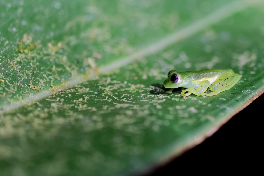 DSC_2040_DxO.JPG