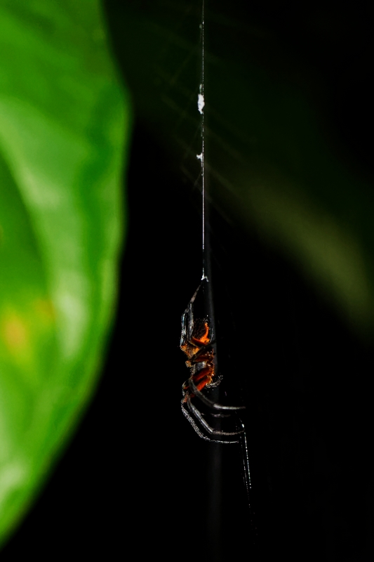 DSC_2053_DxO-3.jpg