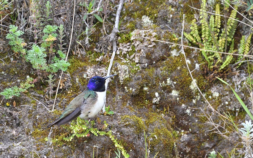 DSC_5390.jpg