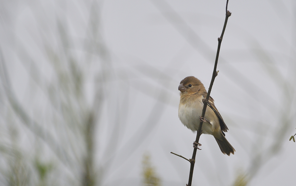 DS5_7397.jpg