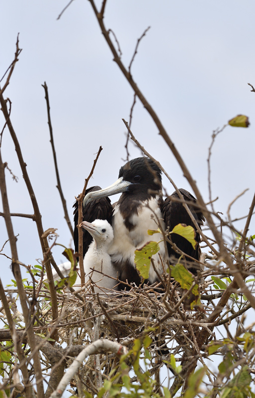 DS5_7121.jpg