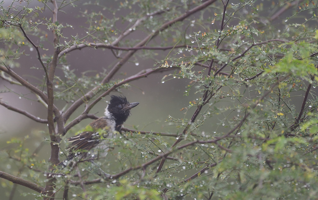 DS5_7318.jpg