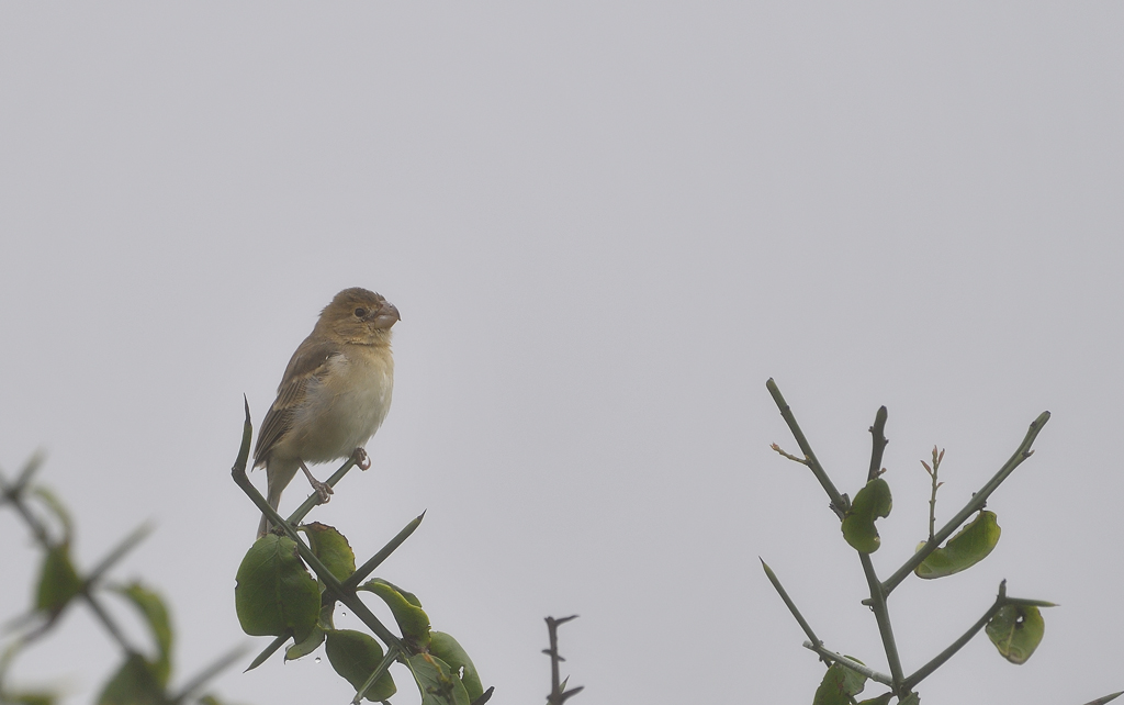 DS5_7330.jpg