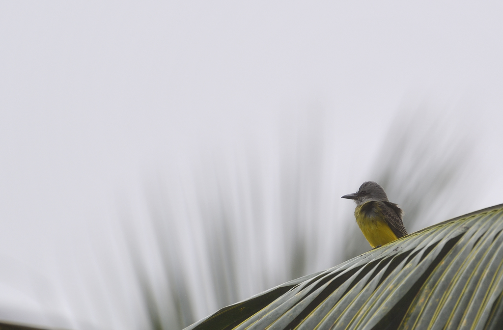 DS5_7355.jpg