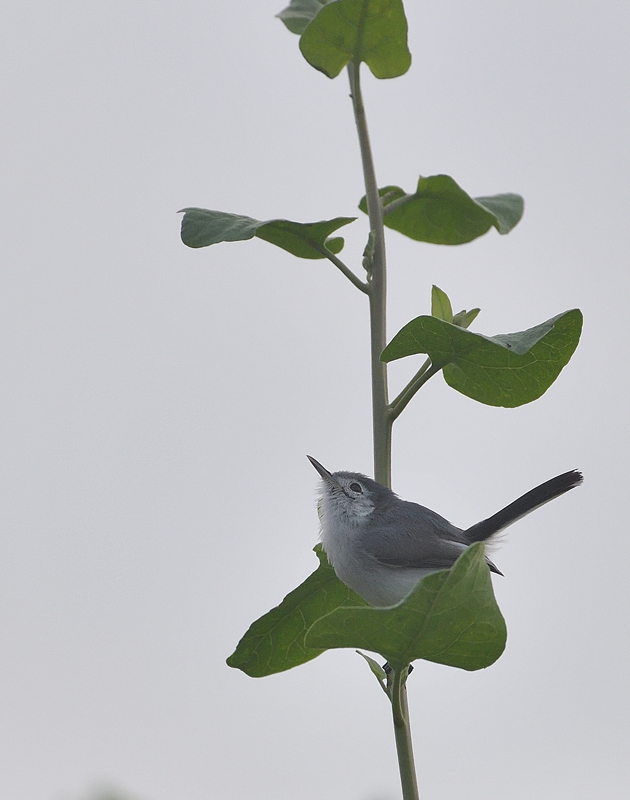DS5_7469.jpg