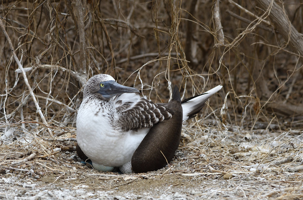 DSC_5428.jpg