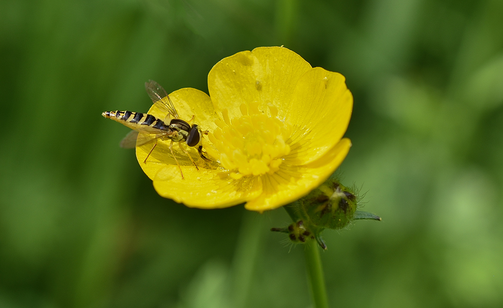 DSC_2321 copie 1.jpg