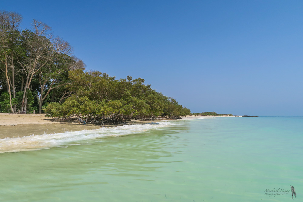 Plage.jpg