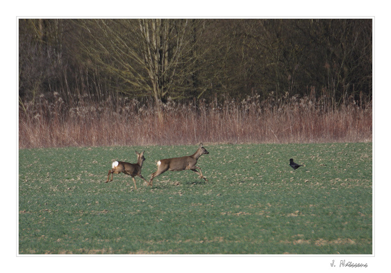20090319_011_w.jpg