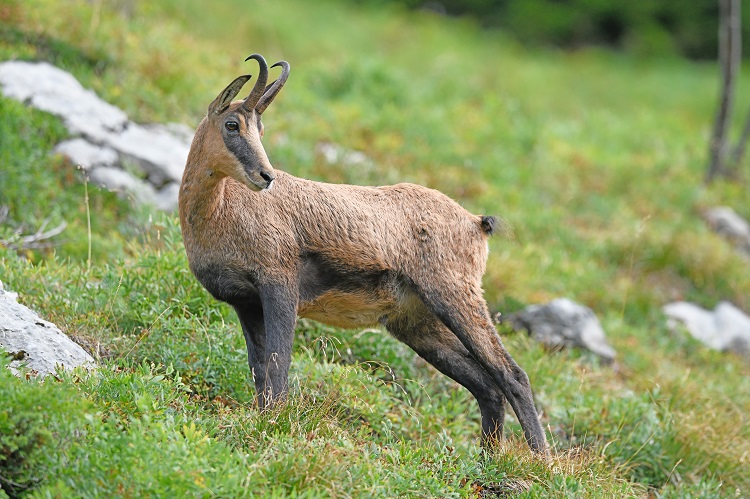 _DSC2473 - Copie - Copie.jpg