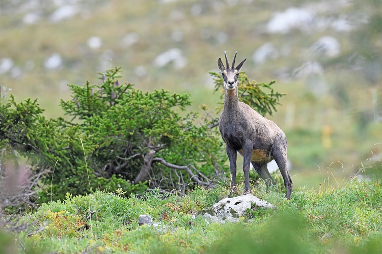 _DSC2421 - Copie - Copie.jpg