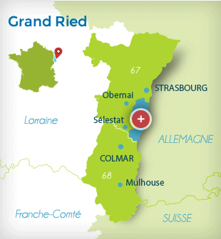 001 Grand Ried alsacien.png