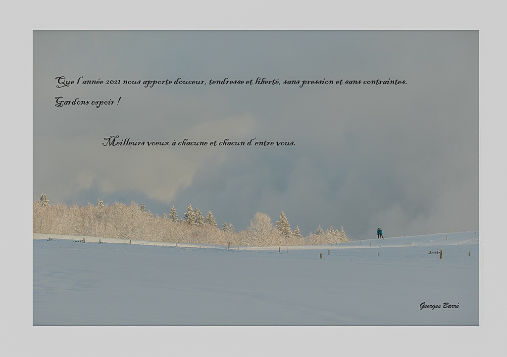 Voeux de Nouvel an.jpg