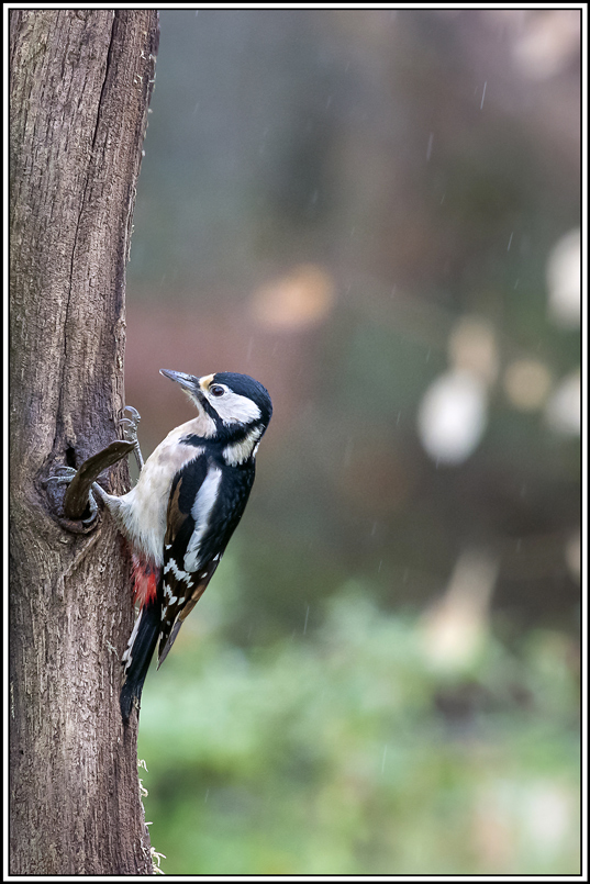 pic-epeiche(71).jpg