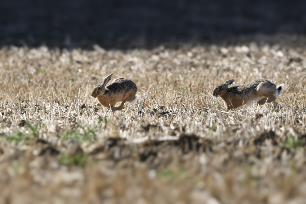 _DSC1640_DxO-1_00001.jpg