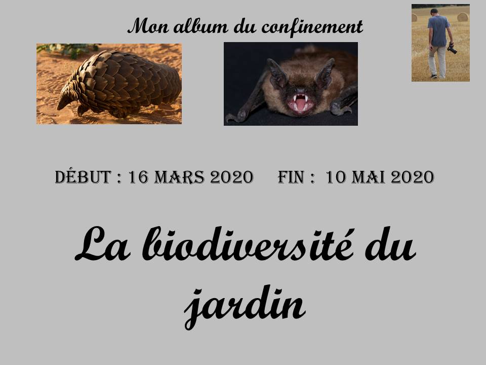Diapositive1.JPG