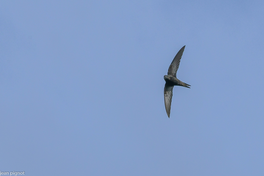 26042021-DSC_9739.JPG