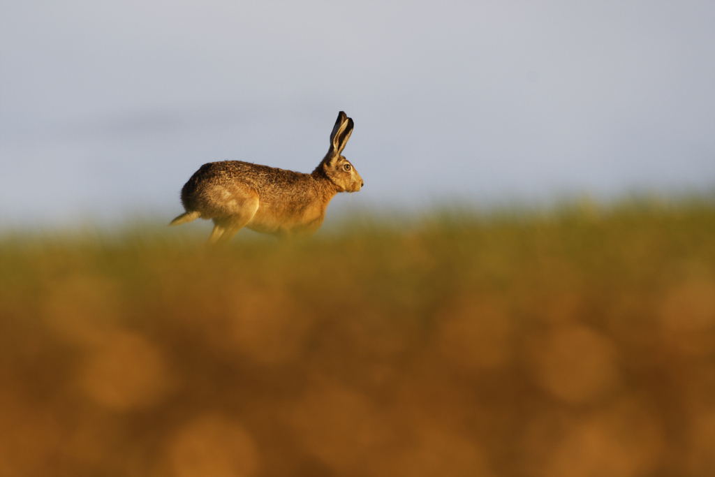 _DSC6874_DxO_DxO.jpg