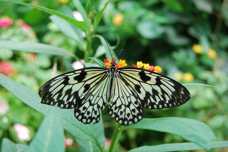 concours photo 2.JPG