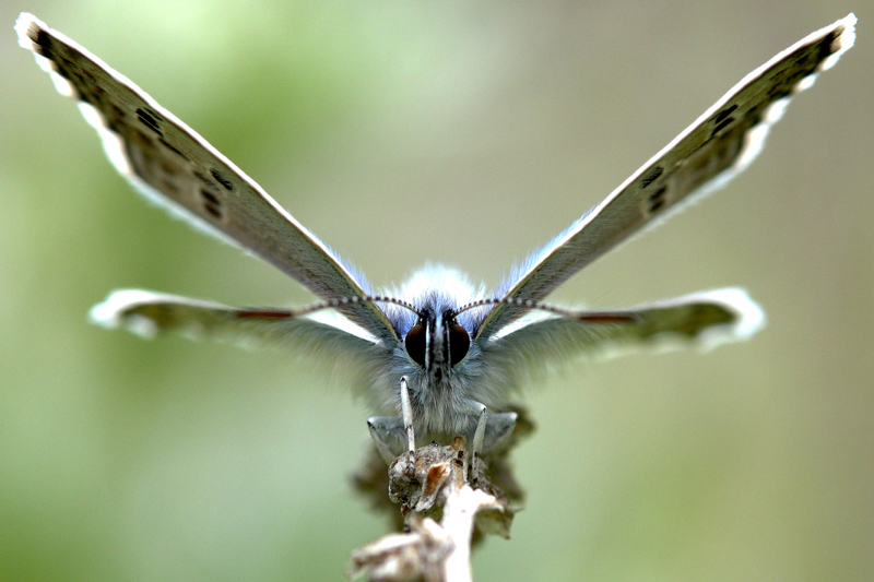 IMG_2298 copie 2.jpg