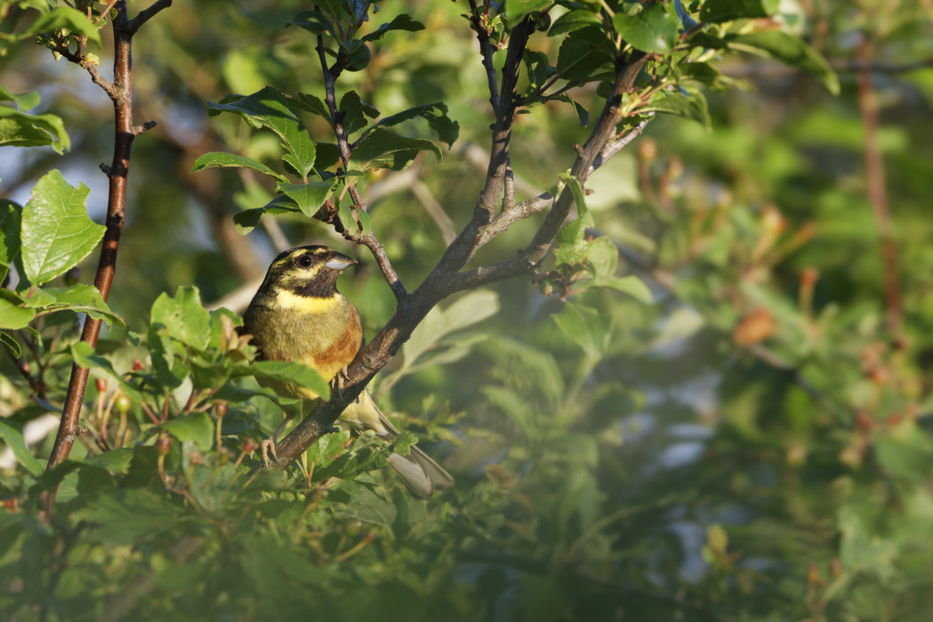 _DSC7805_DxO_1_DxO.jpg