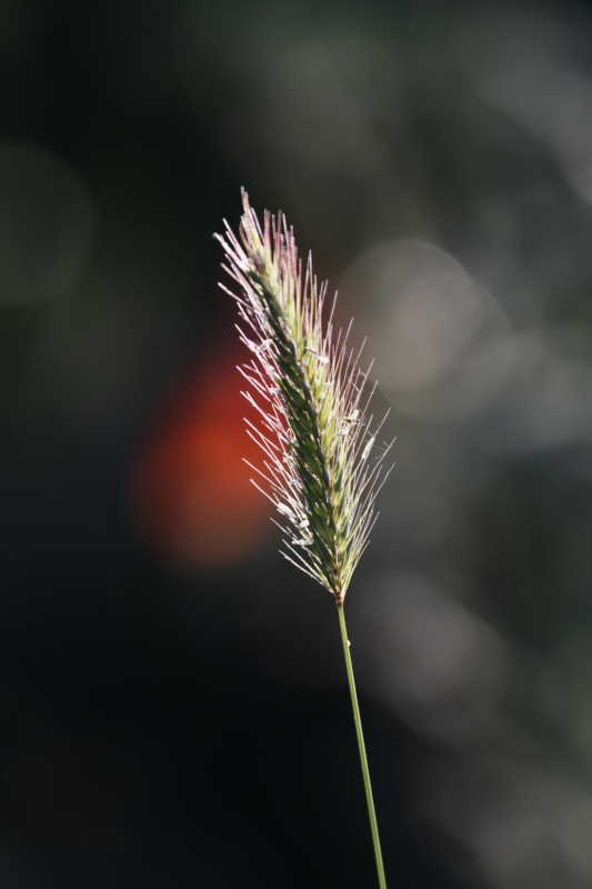 _DSC7899_DxO_DxO.jpg