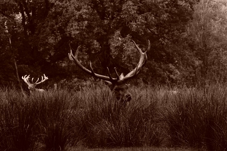 2015-10-03_12-06-20 - Copie.JPG