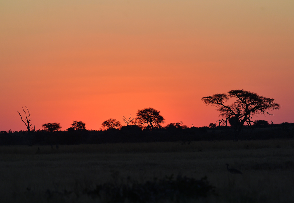 DS5_1394.jpg