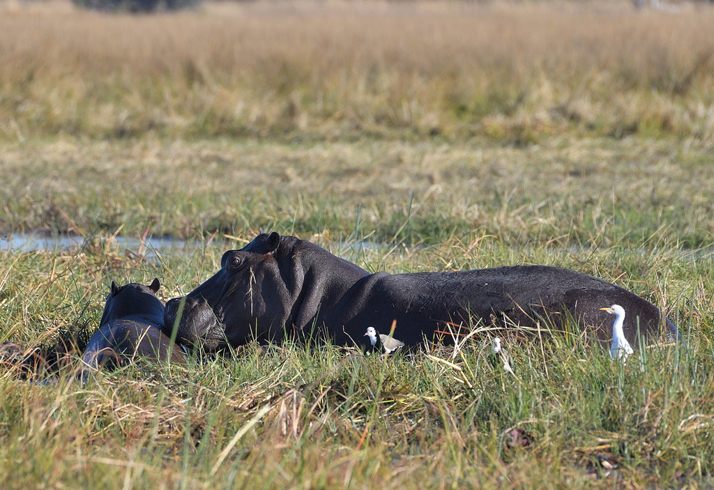 +DS5_0682.jpg