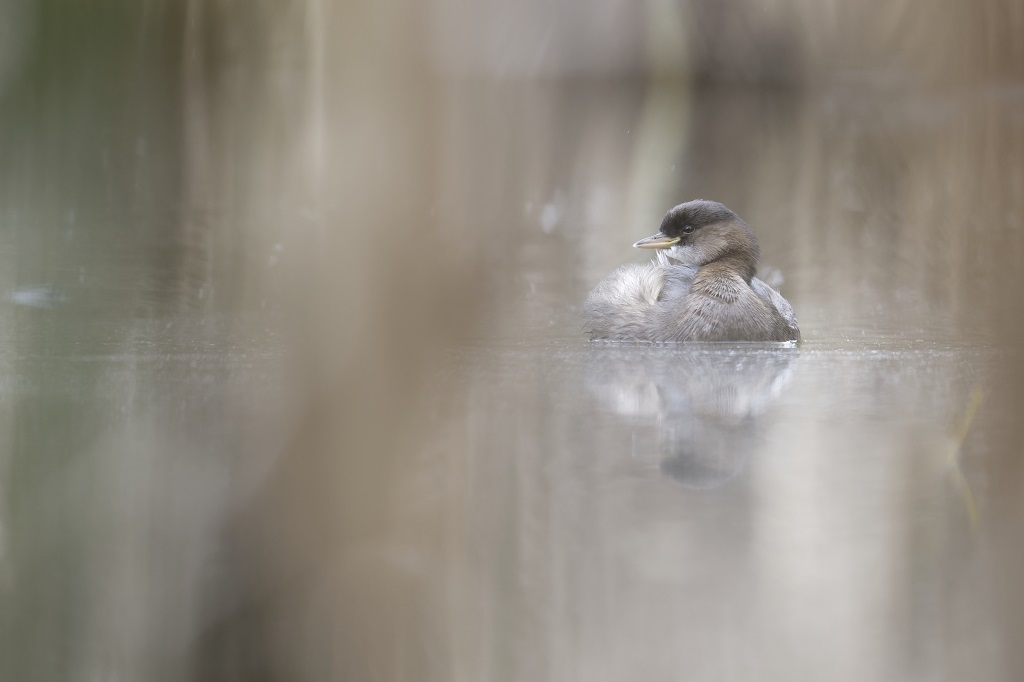 _DSC6152_DxO-1.jpg