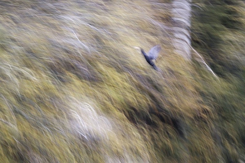 _DSC6735_DxO.jpg