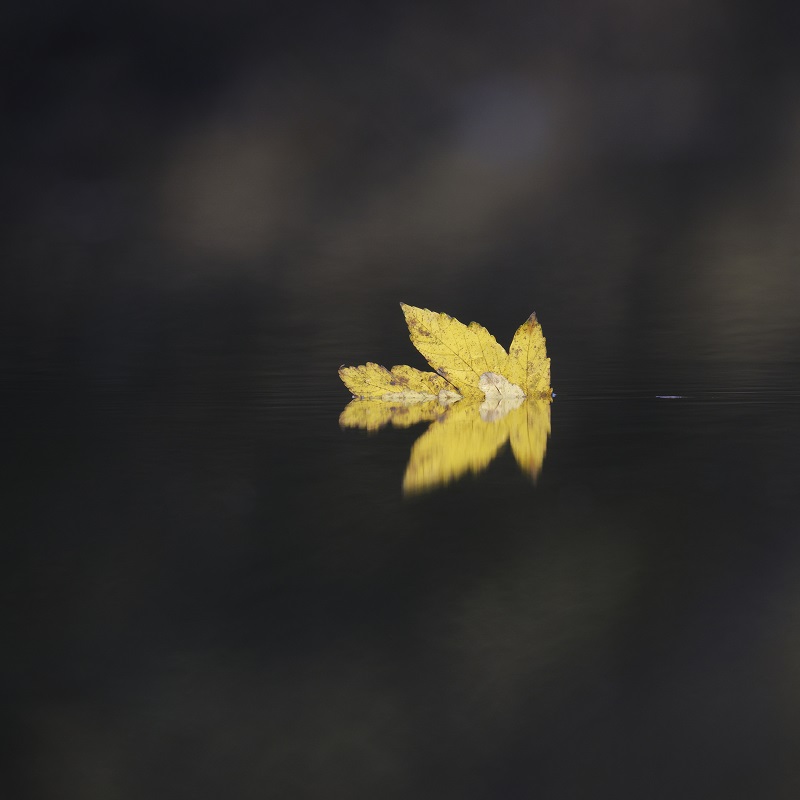 _DSC2277_DxO.jpg