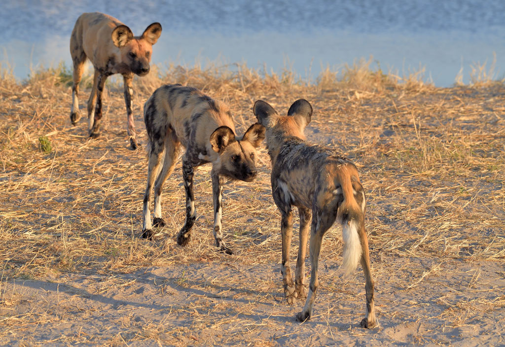 DS5_1214.jpg