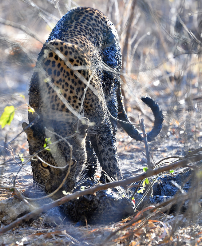 DS5_1818.jpg