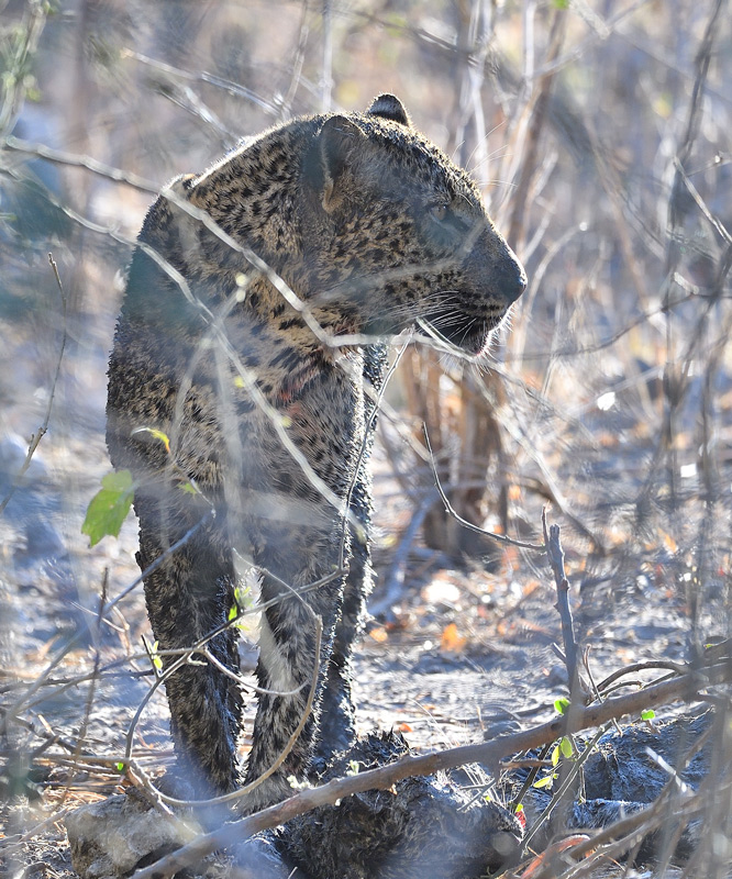DS5_1820.jpg