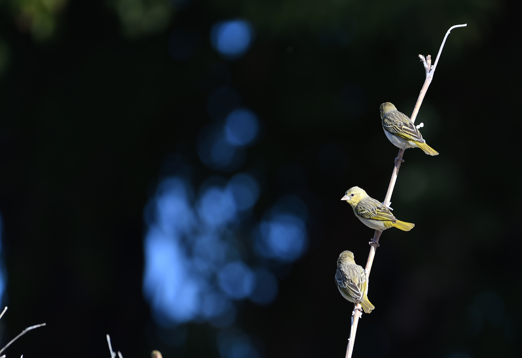 DS5_9866.jpg