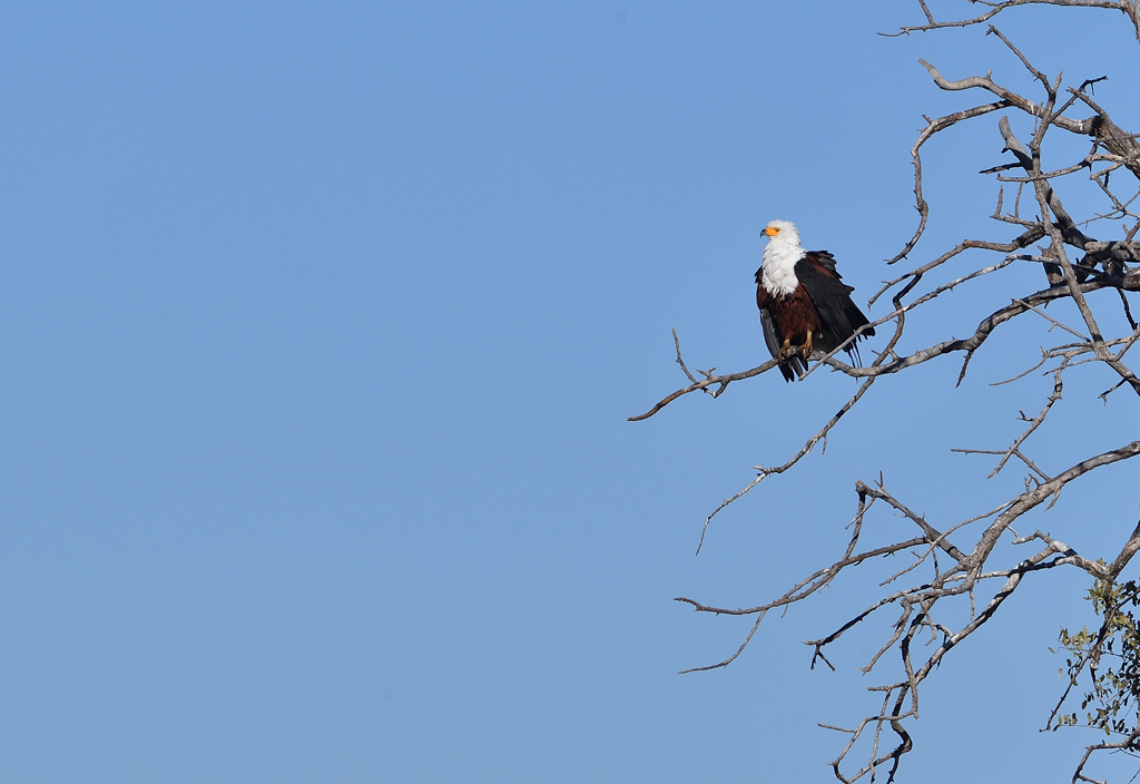 DS5_9971.jpg