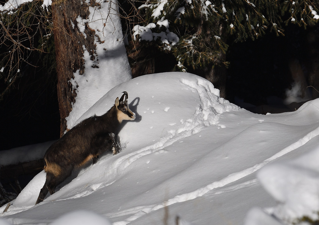 DS5_6374.jpg