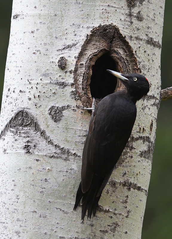 DS5_8594.jpg