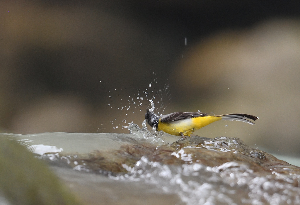 DS5_8999.jpg