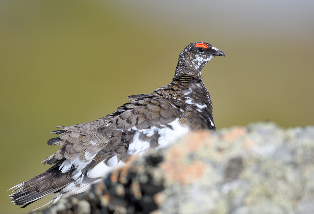 DS5_0154.jpg