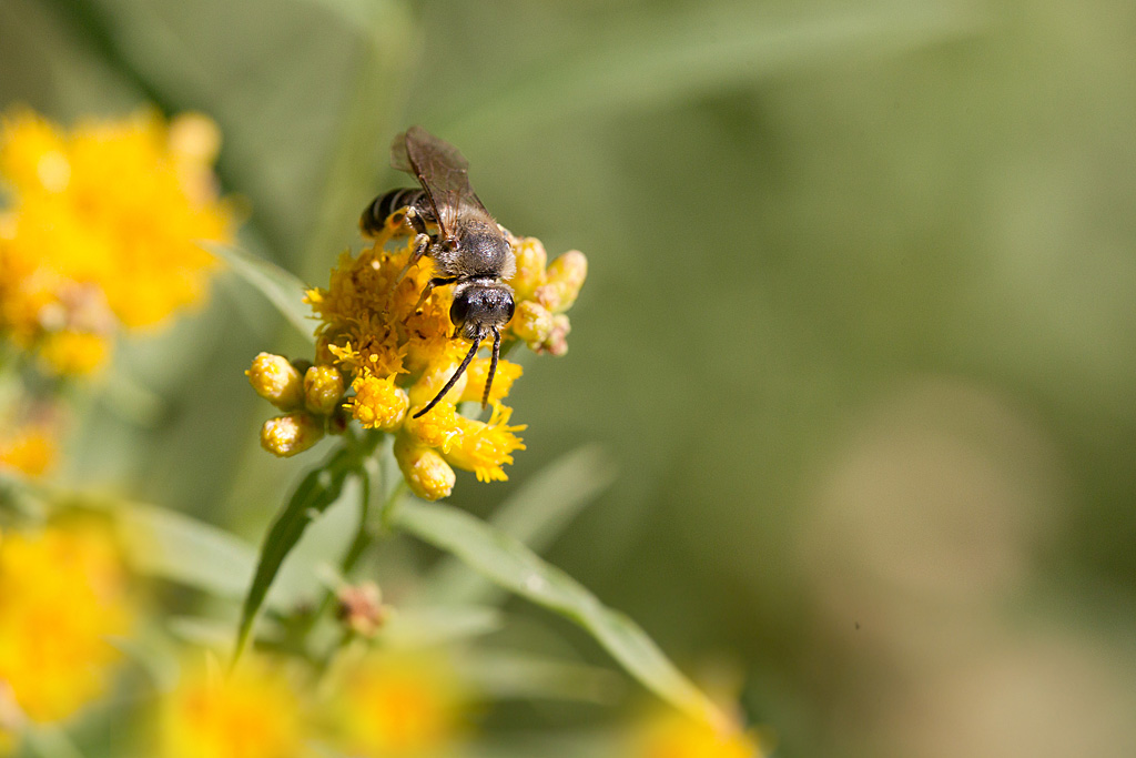 IMG_5272 J Rivière.jpg