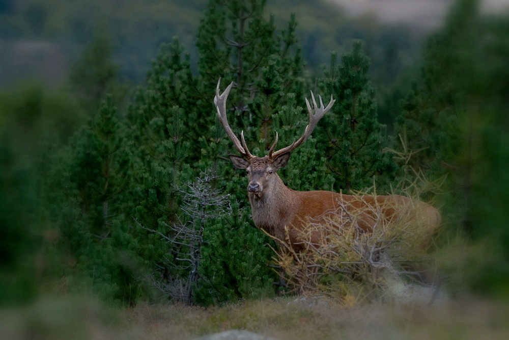 29092022- (1)-001.jpg