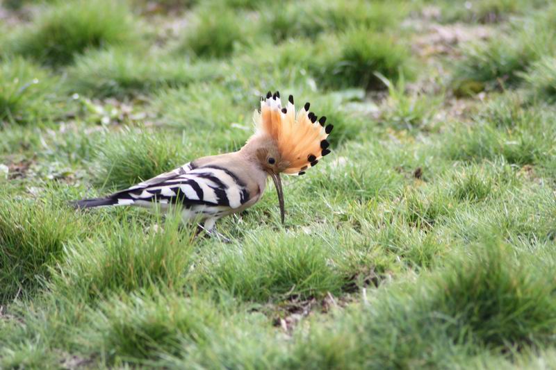 Redimensionnement de IMG_2390.JPG